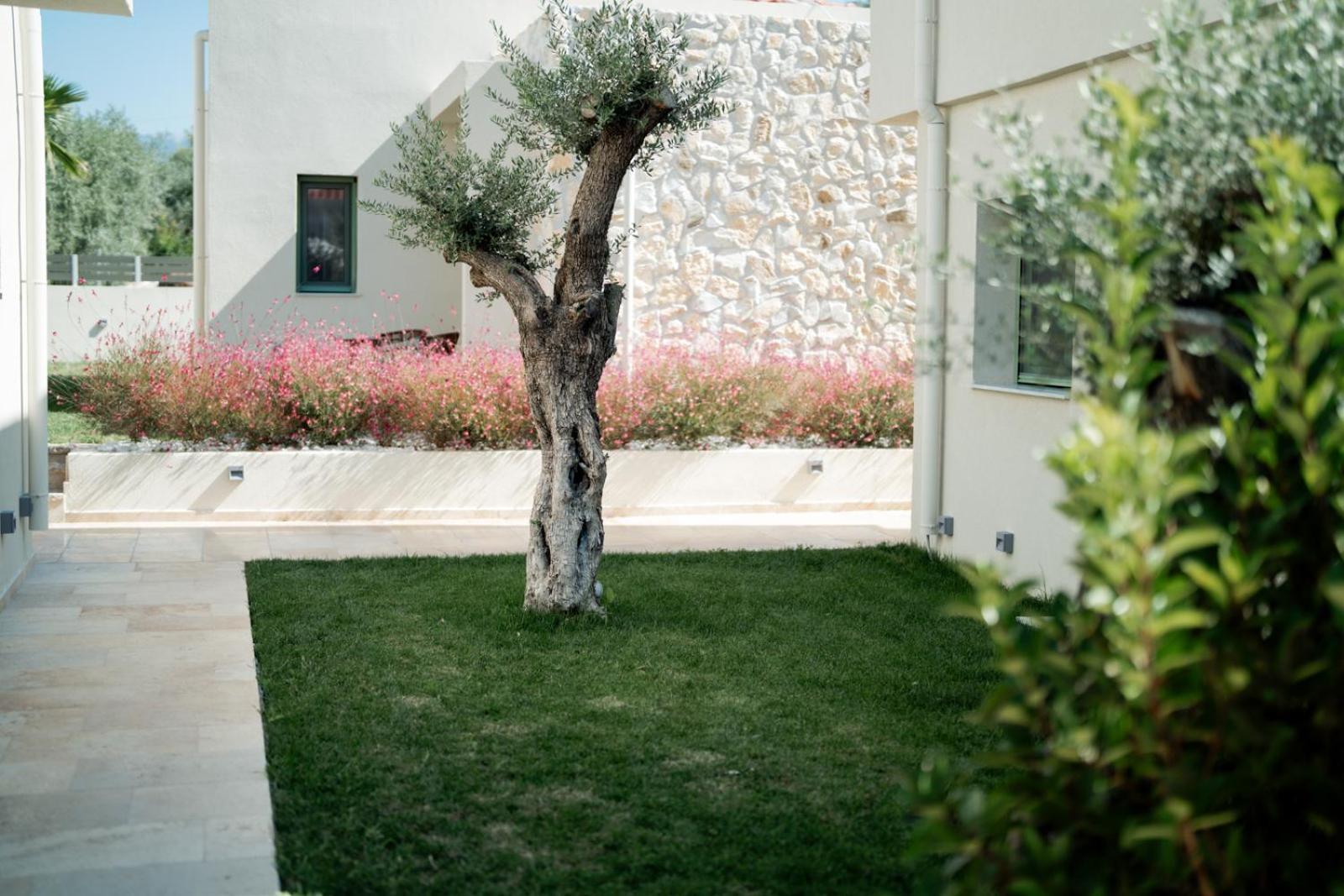 Magnolia Villas Potos Thassos Exterior photo